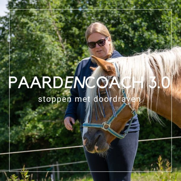 Coach Marian Paardencoach 3.0